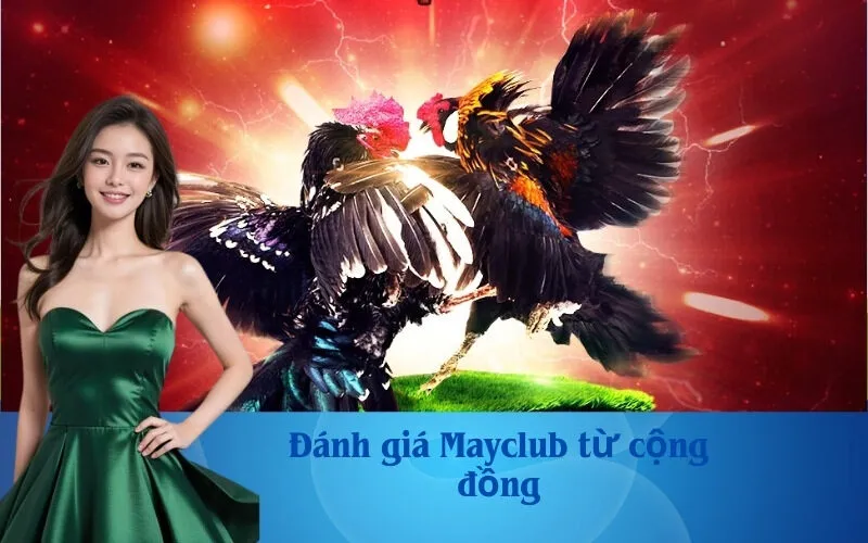 Đánh giá Mayclub từ cộng đồng