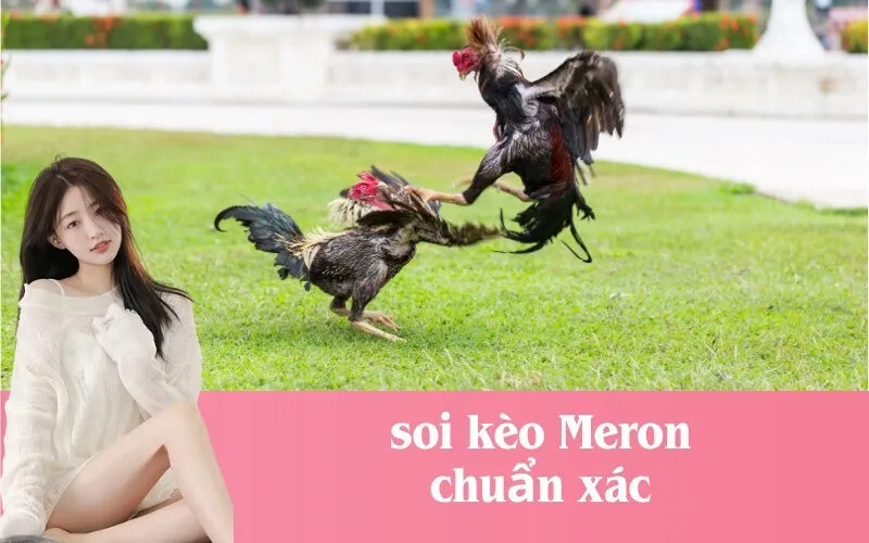 soi kèo Meron chuẩn xác