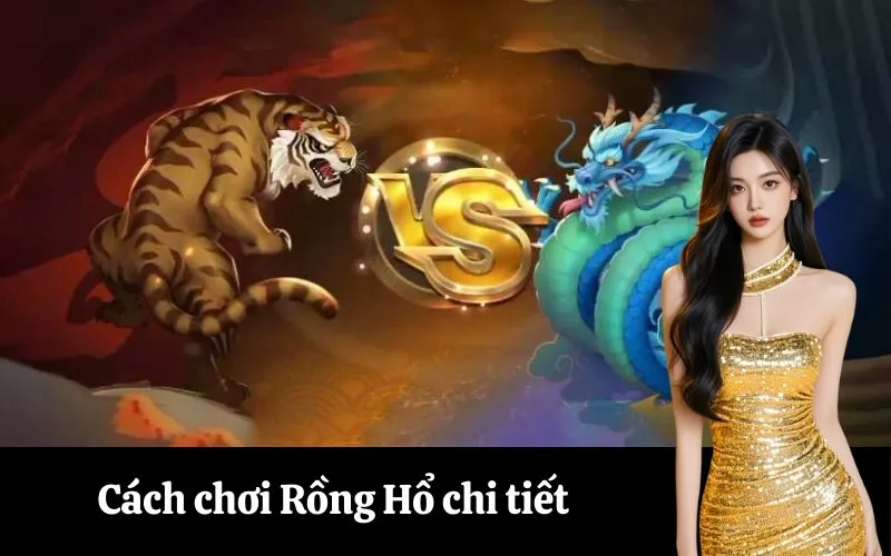 Cách chơi Rồng Hổ chi tiết