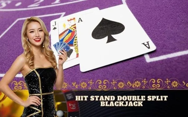 Hit Stand Double Split Blackjack