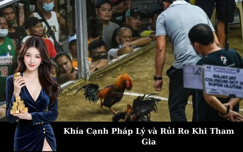 Khía Cạnh Pháp Lý và Rủi Ro Khi Tham Gia