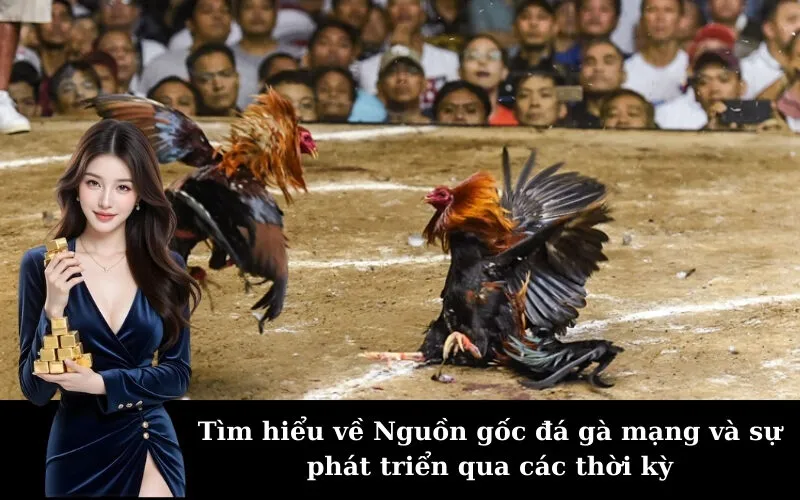 Tìm hiểu về Nguồn gốc đá gà mạng và sự phát triển qua các thời kỳ