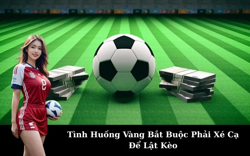 Tình Huống Vàng Bắt Buộc Phải Xé Cạ Để Lật Kèo